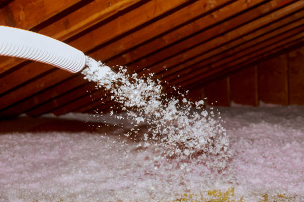 Best Insulation Contractors for Homes  in Lowesville, NC