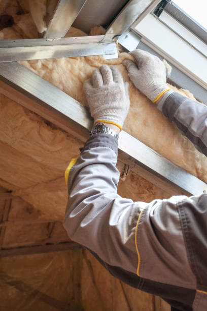 Best Insulation Repair Services  in Lowesville, NC