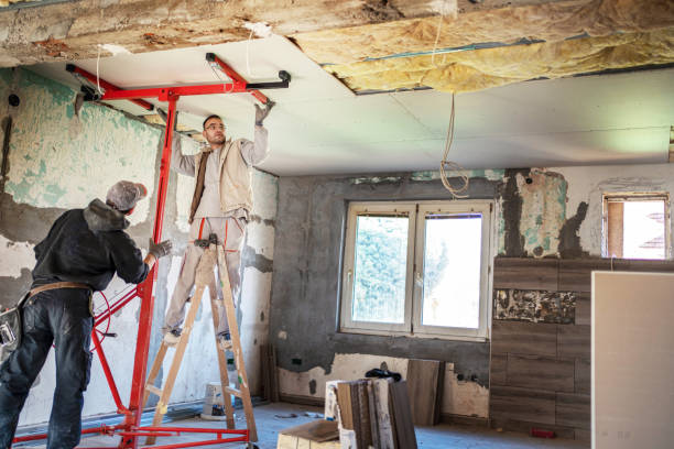 Best Insulation Removal  in Lowesville, NC