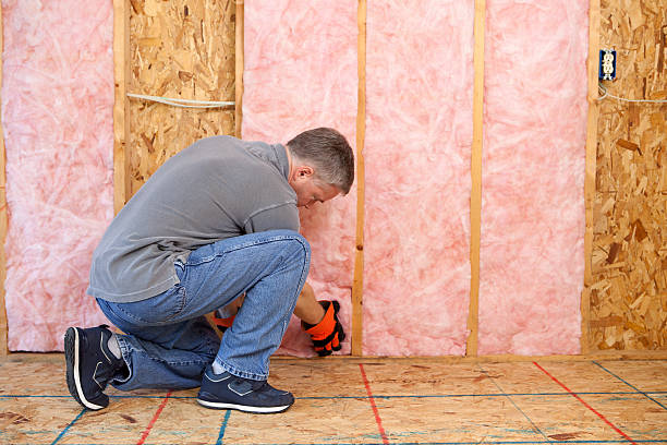 Best Wall Insulation Contractor  in Lowesville, NC
