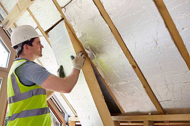 Best Insulation Inspection Services  in Lowesville, NC