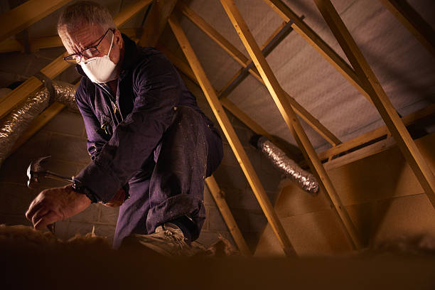 Best Insulation Replacement Services  in Lowesville, NC