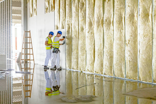 Best Local Insulation Services  in Lowesville, NC